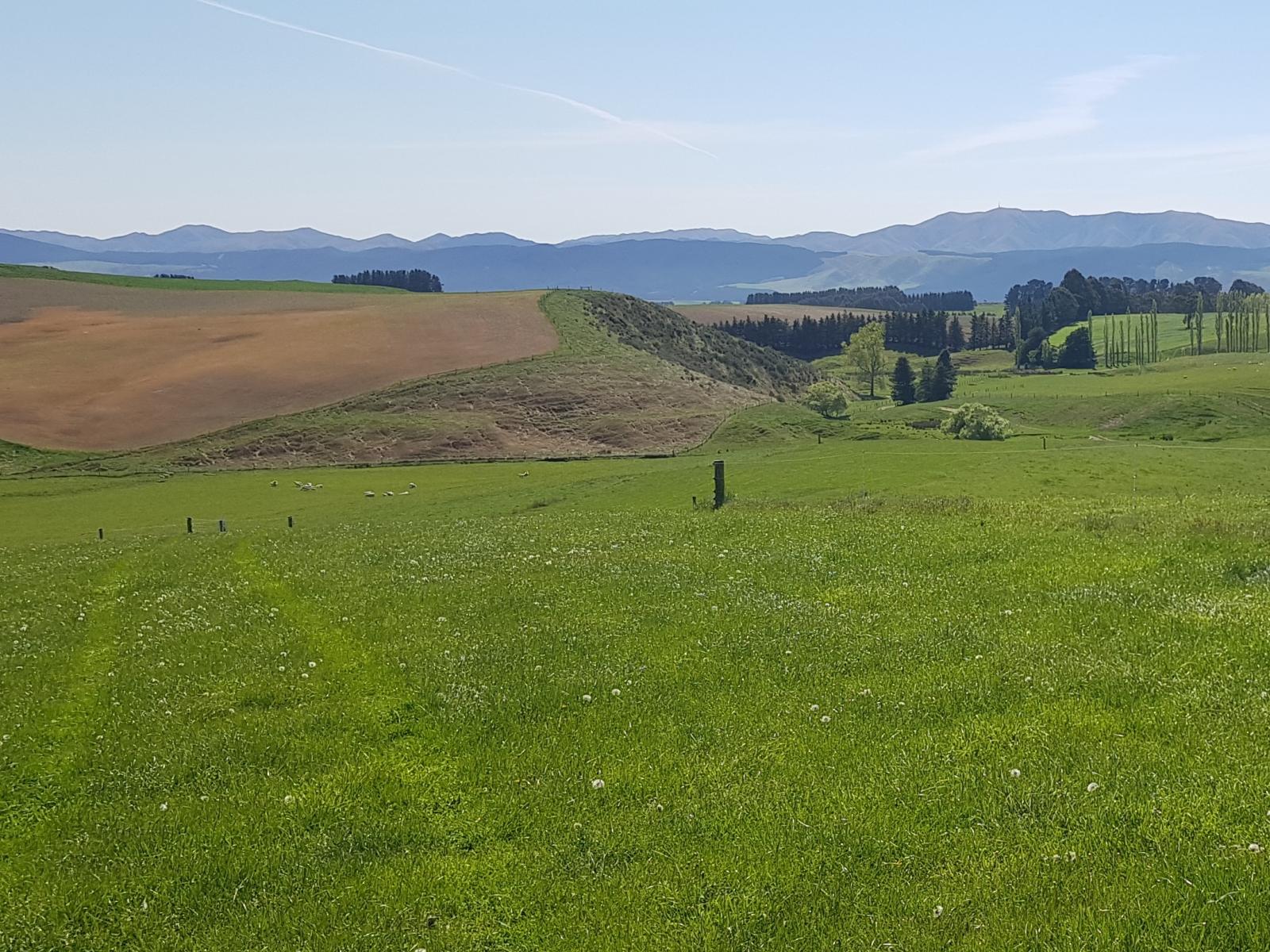 958 Waihaorunga Back Road, Waimate