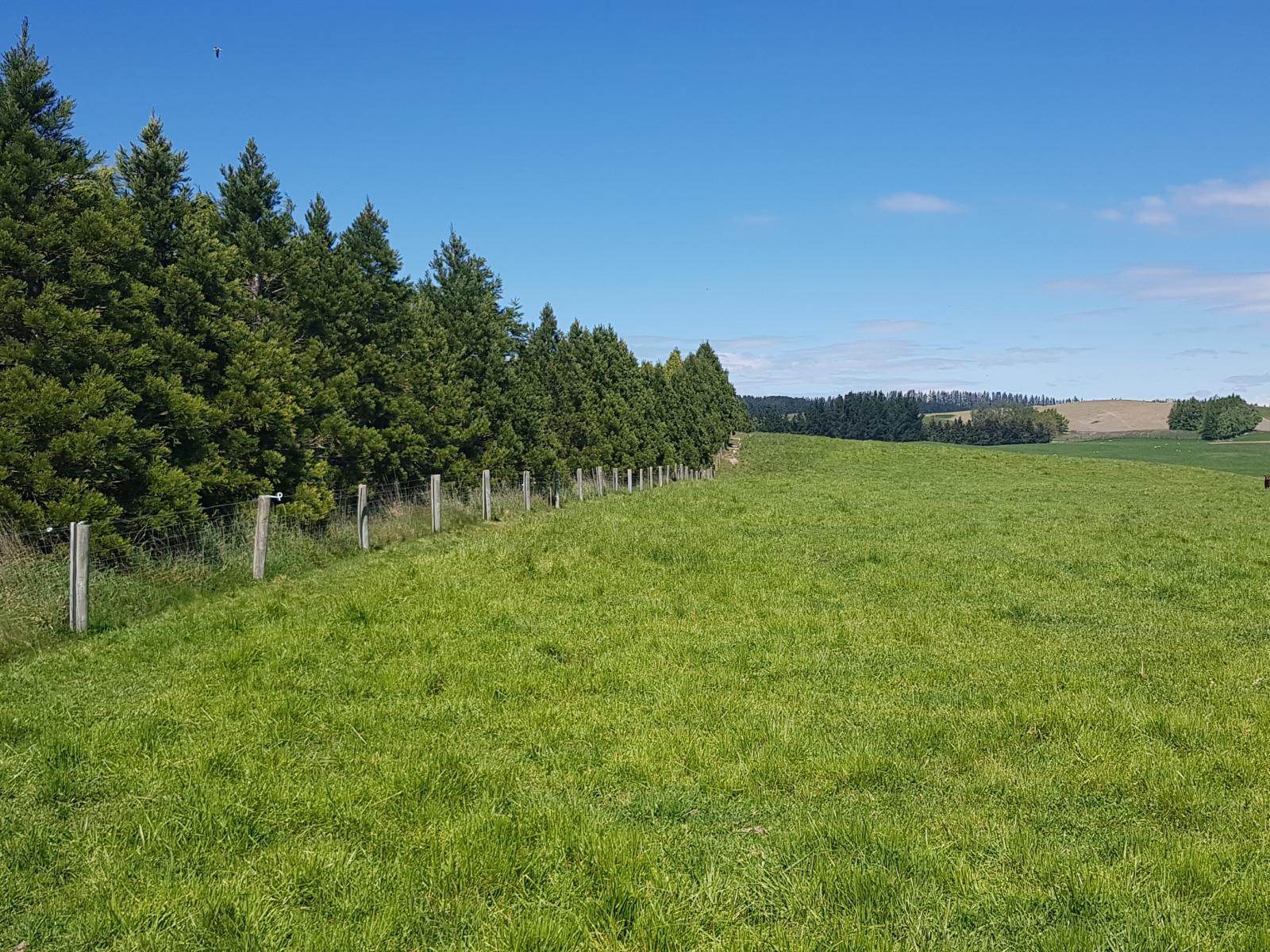 958 Waihaorunga Back Road, Waimate