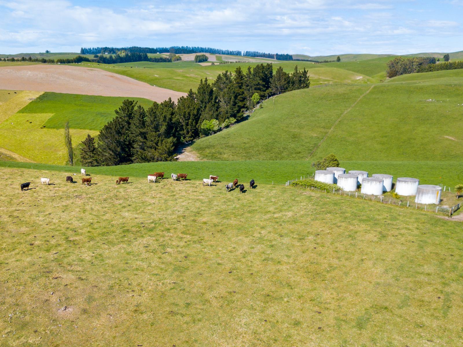 958 Waihaorunga Back Road, Waimate