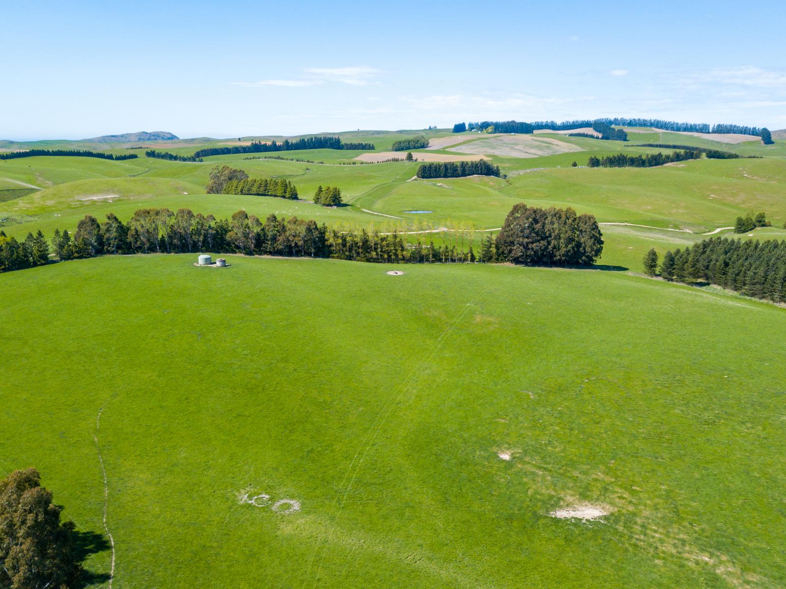 958 Waihaorunga Back Road, Waimate