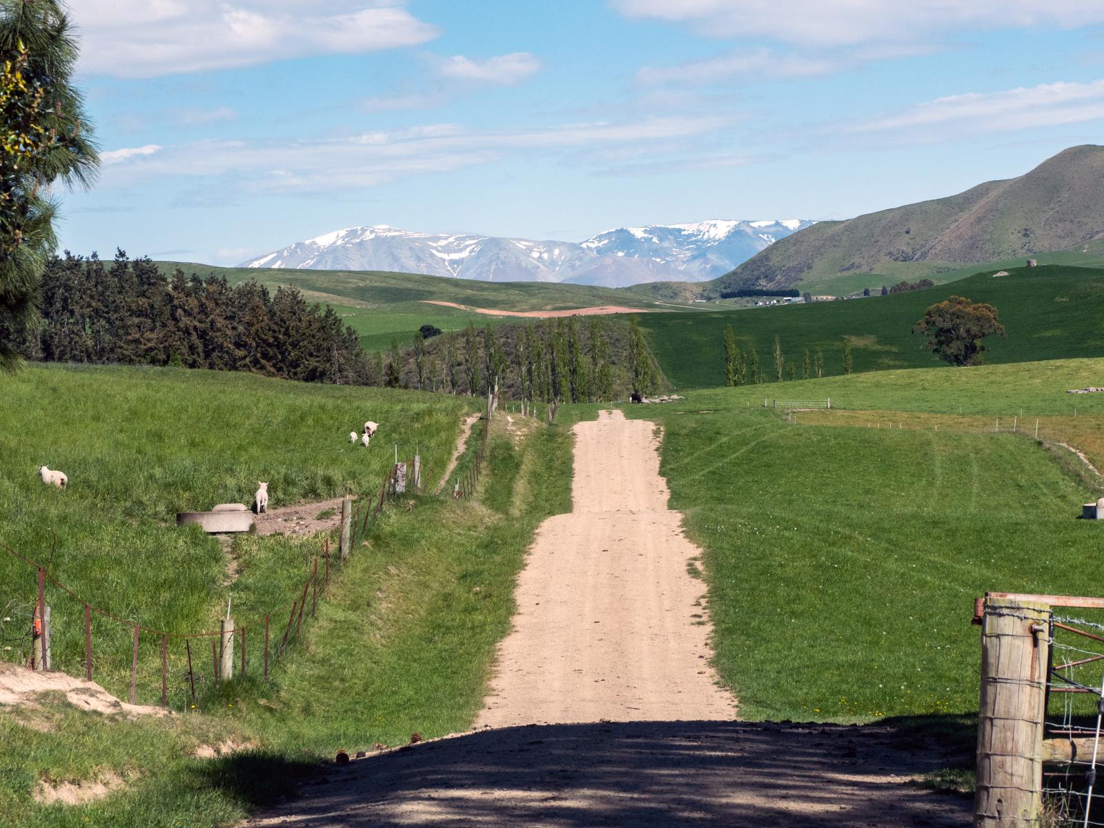 958 Waihaorunga Back Road, Waimate