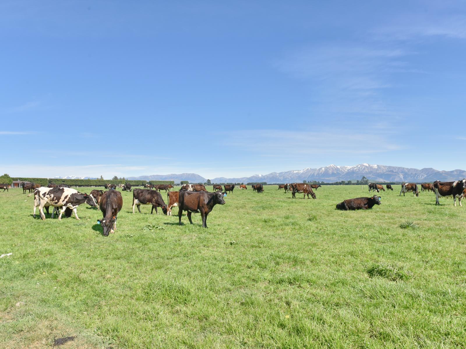 346 Parish Road, Oxford