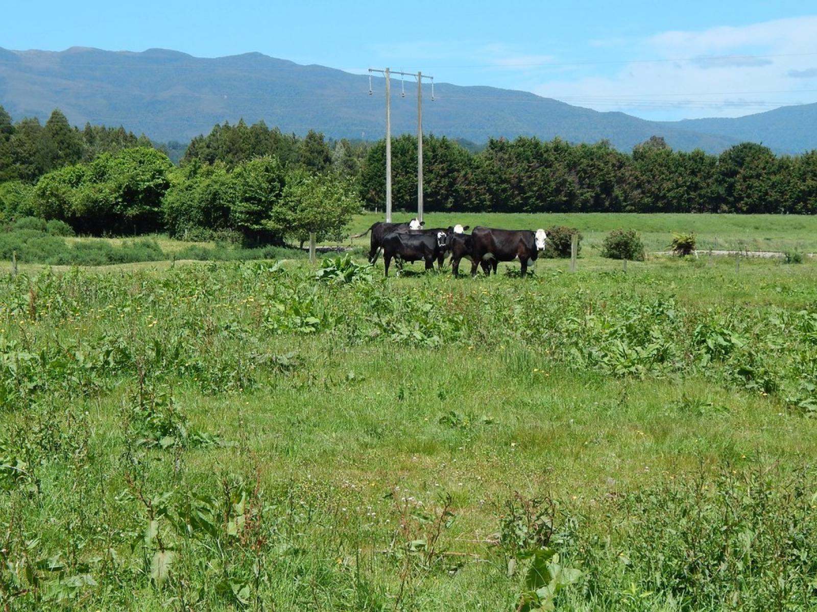 185 Queen Street, Westport