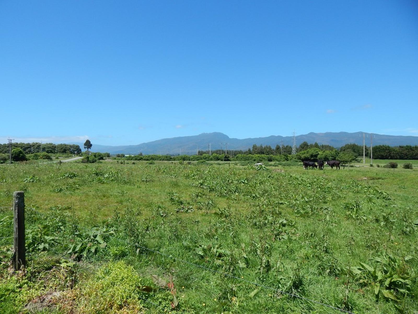 185 Queen Street, Westport