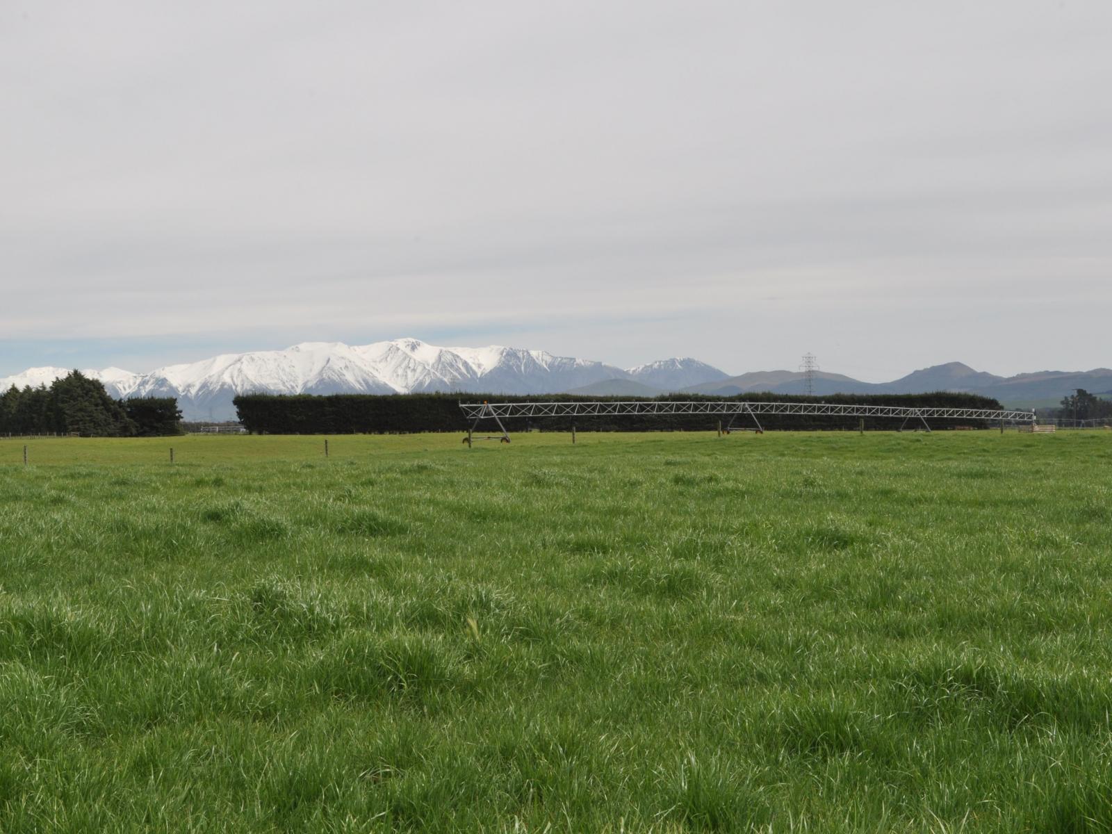 Hartnells Road, Hororata