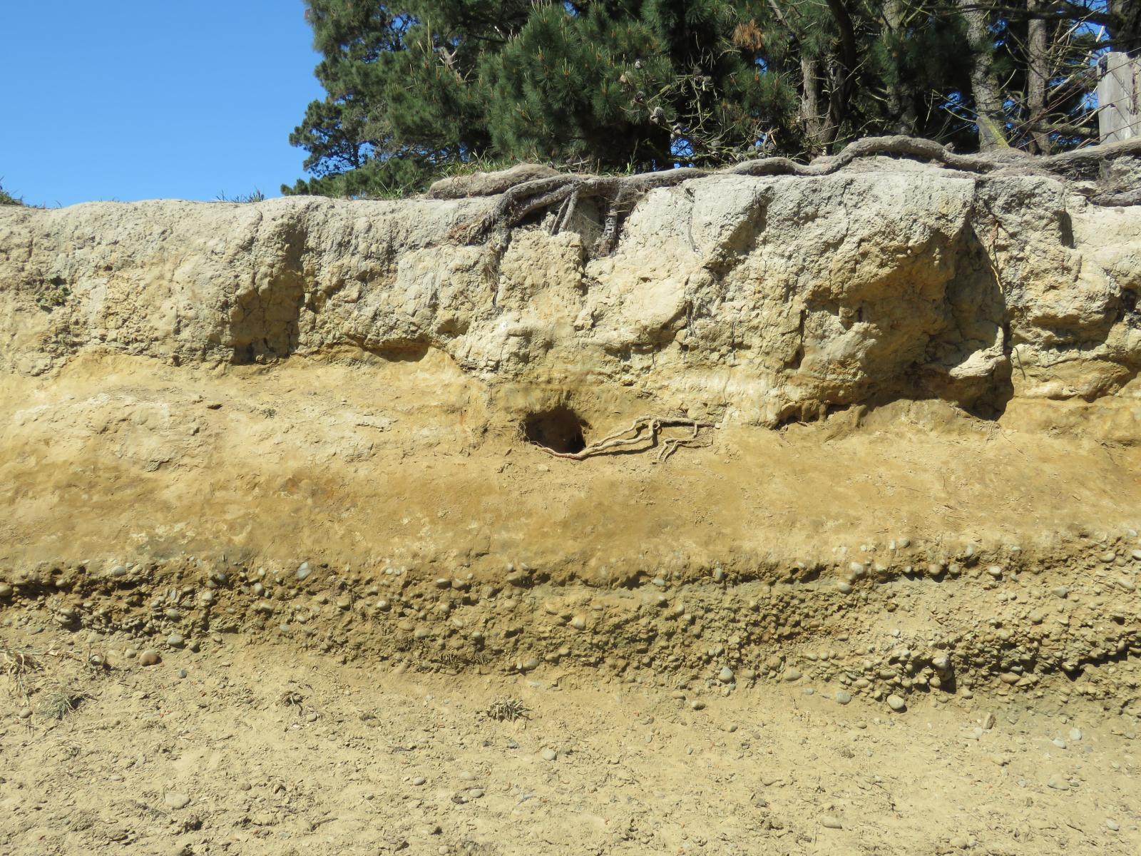 725 Lower Beach Road, Ashburton