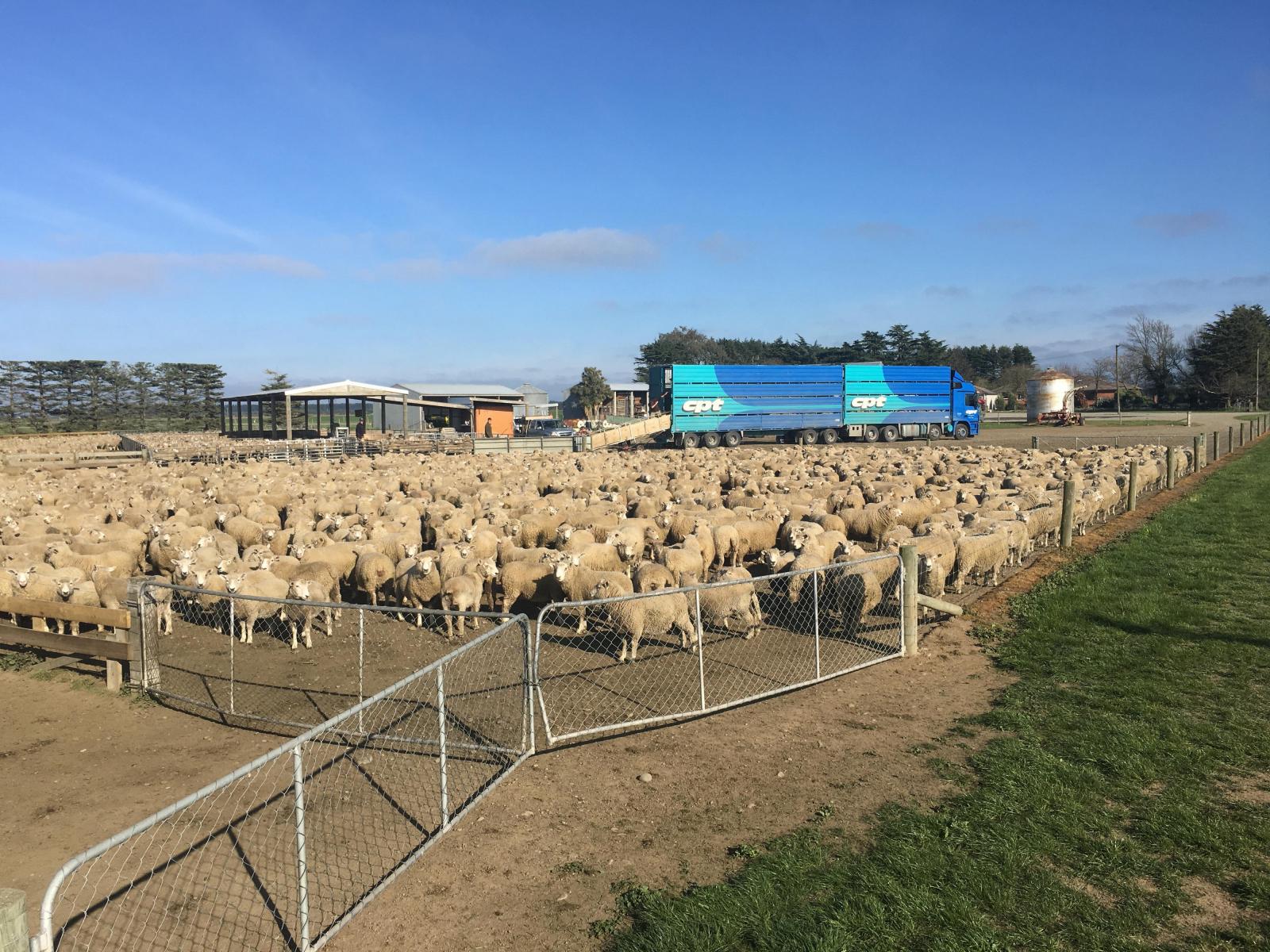 362 Fairfield Road, Ashburton