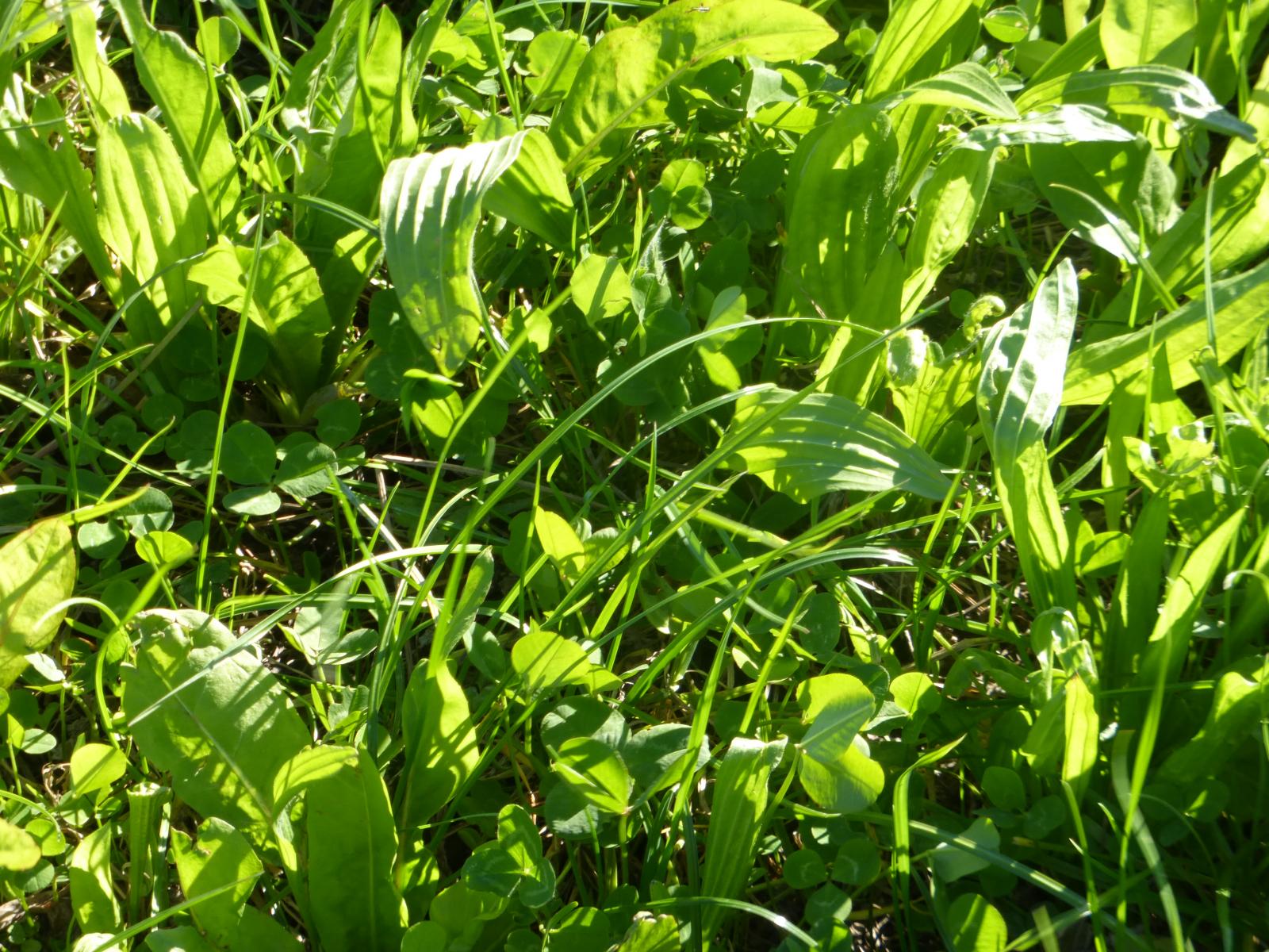 73 Seaton Rd, Timaru