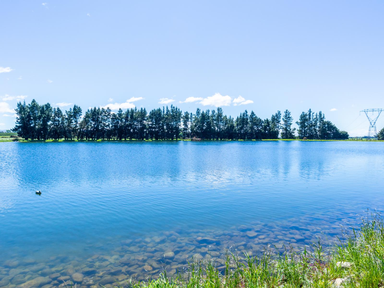 801 Boltons Road, Ashburton