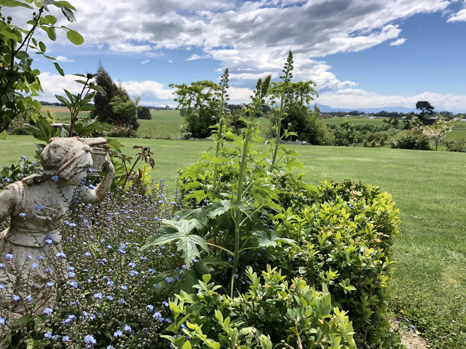 628 Claremont Road, Claremont