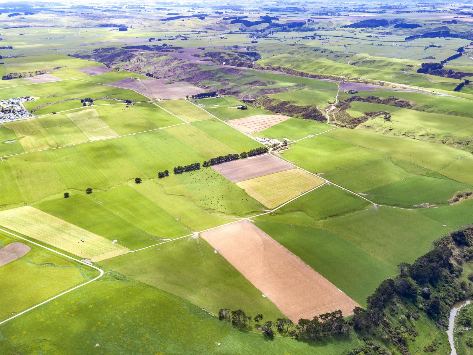 123 Ratana Road, Turakina