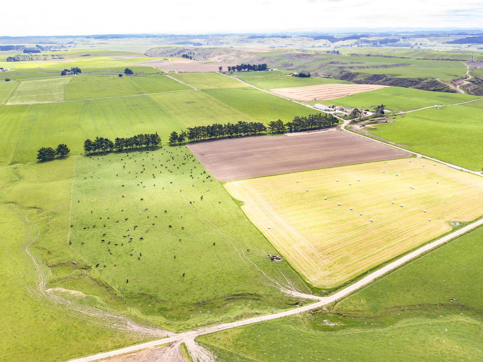 123 Ratana Road, Turakina