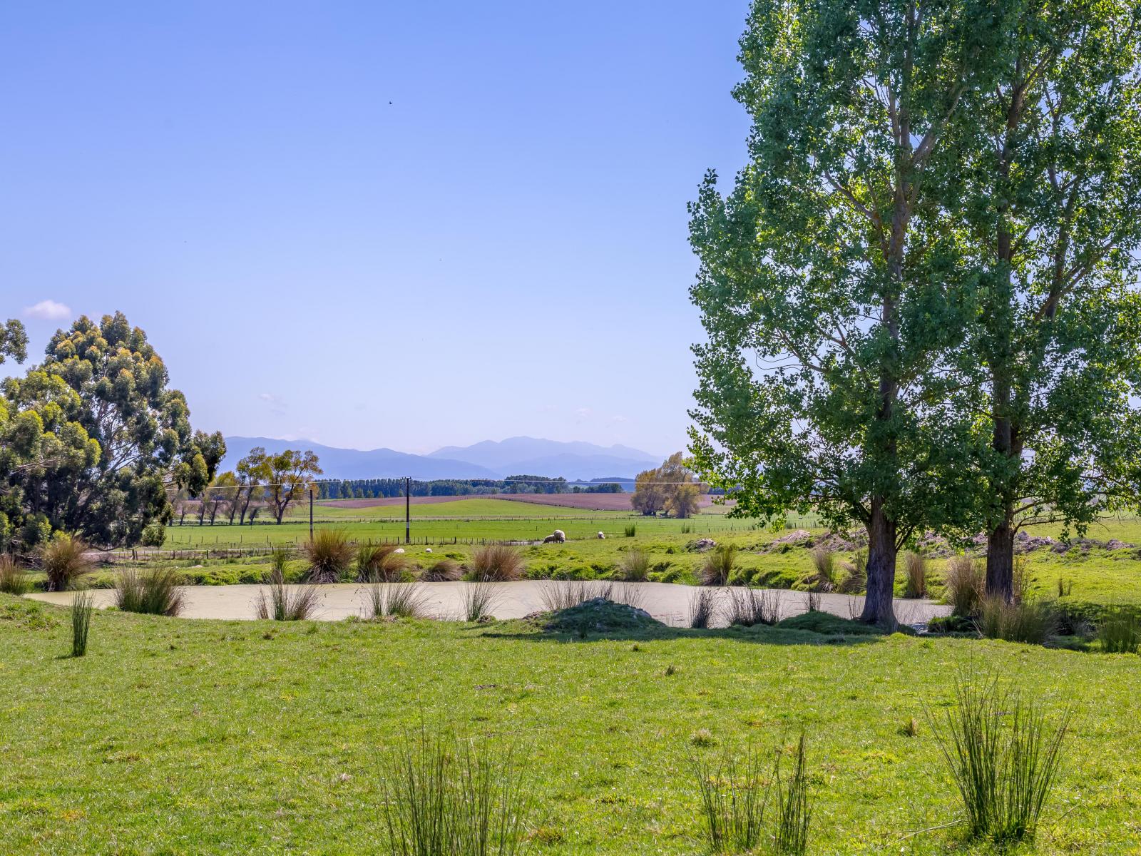1075 Lake Ferry Road, Martinborough