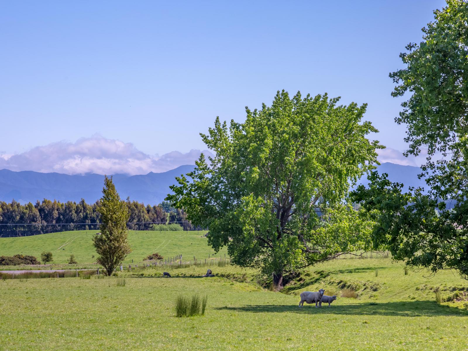 1075 Lake Ferry Road, Martinborough