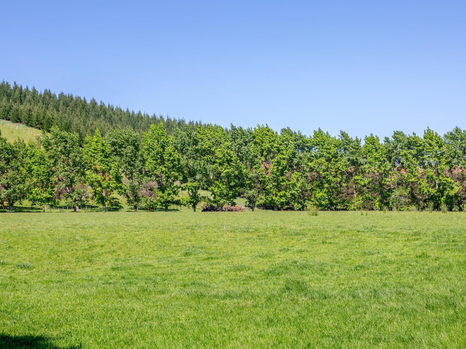 1075 Lake Ferry Road, Martinborough