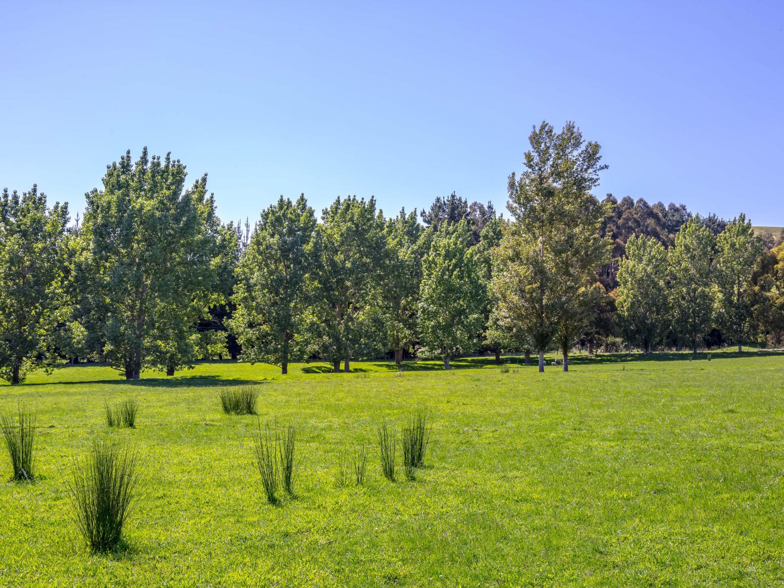 1075 Lake Ferry Road, Martinborough