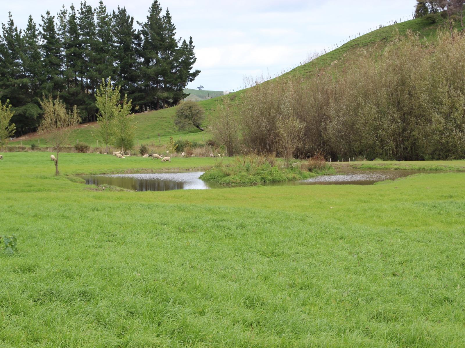 185 Kaukatea Valley Road, Okoia