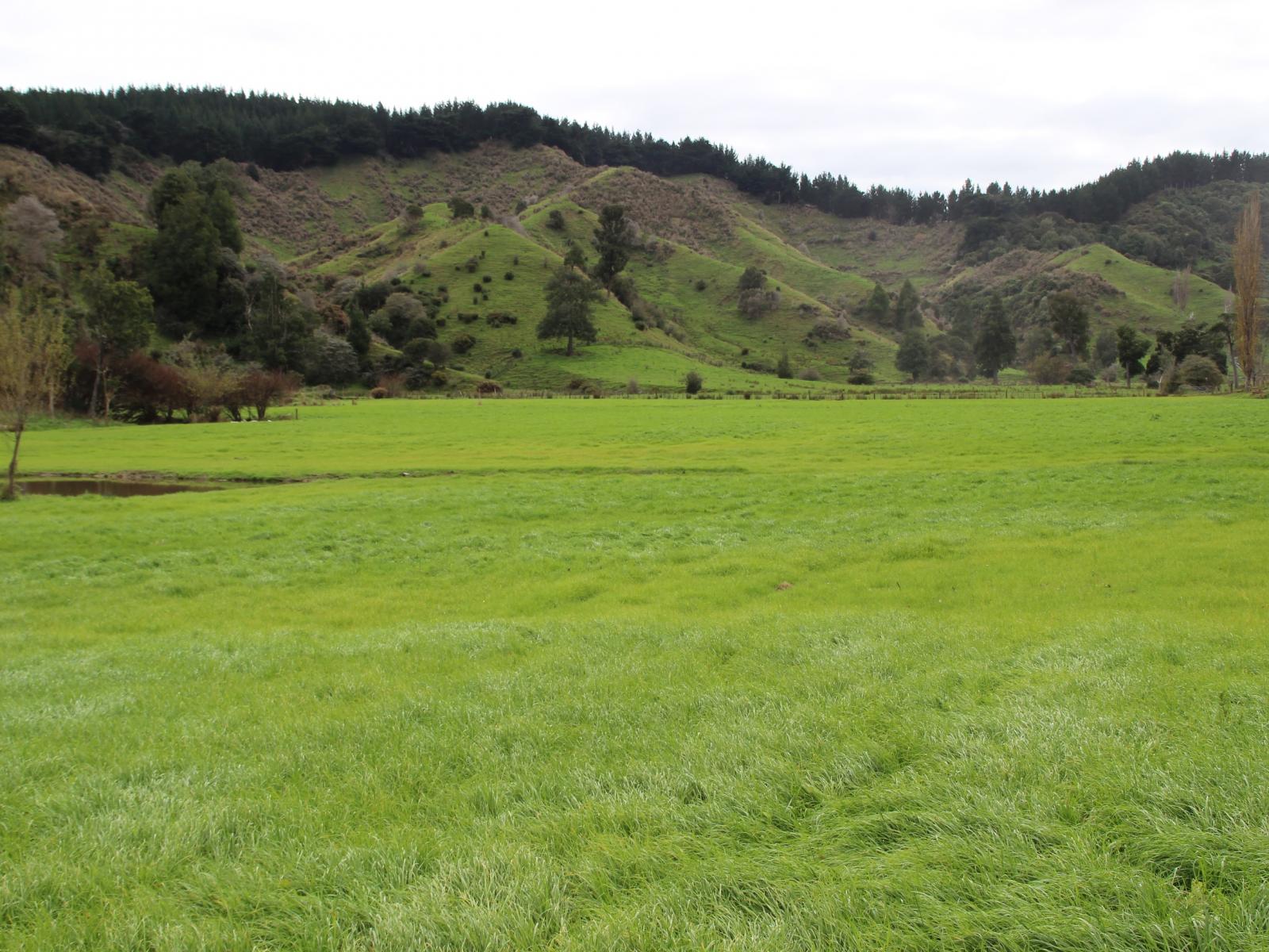 185 Kaukatea Valley Road, Okoia