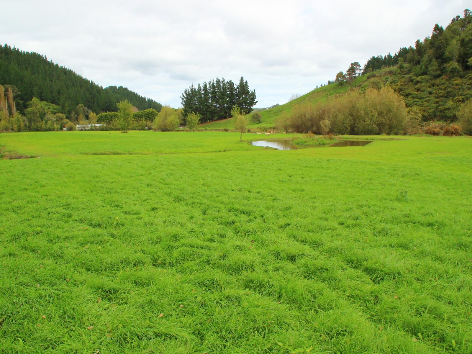 185 Kaukatea Valley Road, Okoia