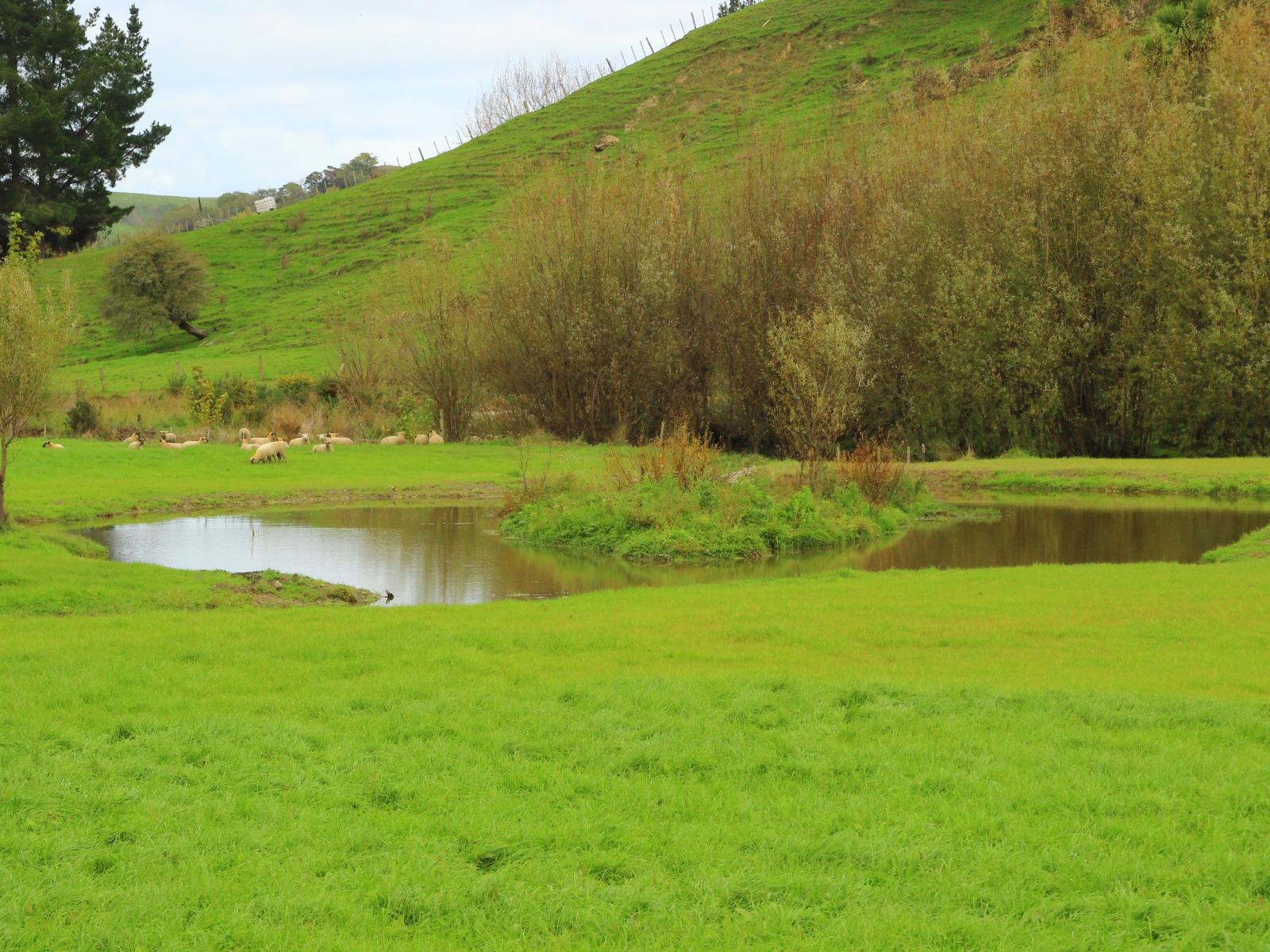 185 Kaukatea Valley Road, Okoia