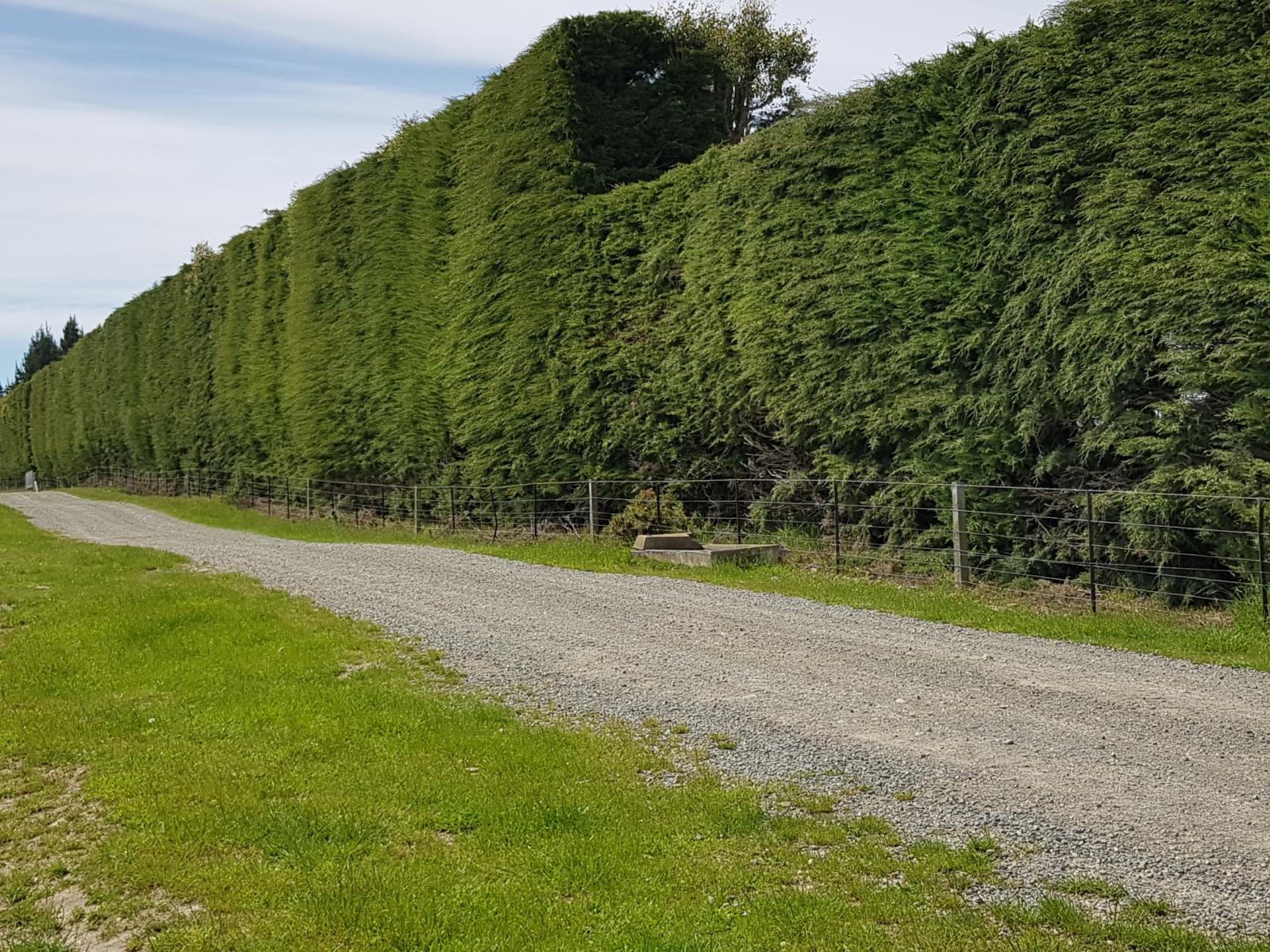 85 Chisholm Road, Pleasant Point