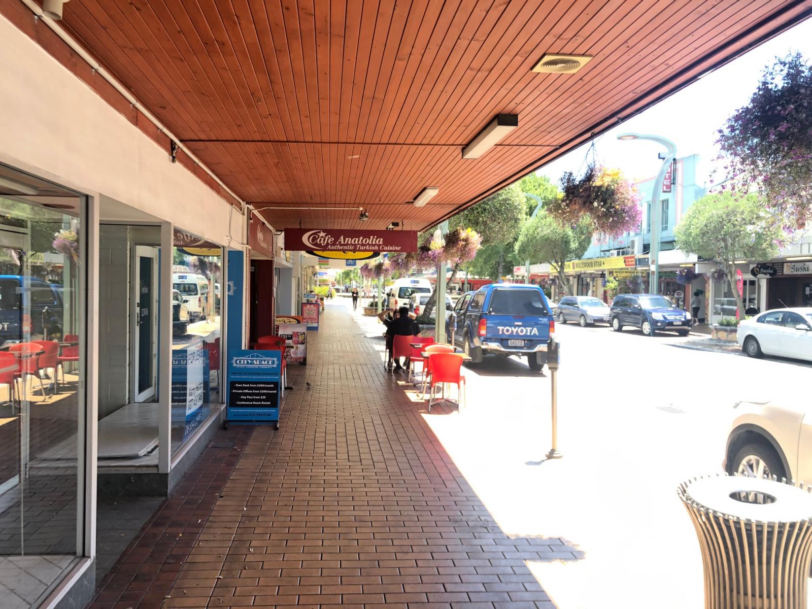 113 Heretaunga Street East, Hastings