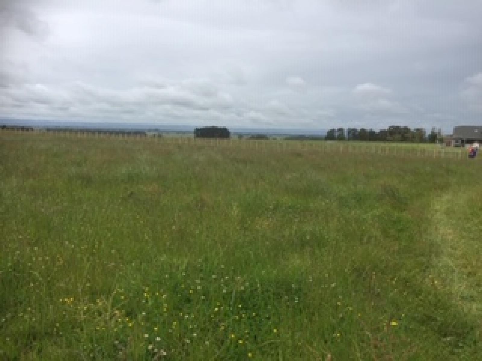 Lot 7 Fairfield Road, Rongotea