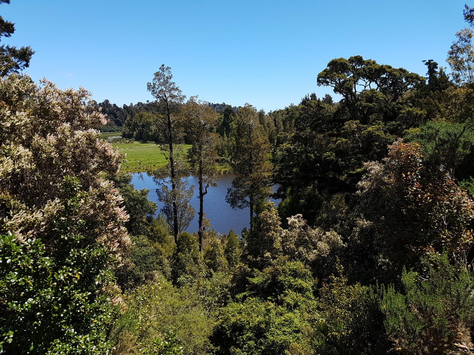 1350C Harihari Highway, Kakapotahi