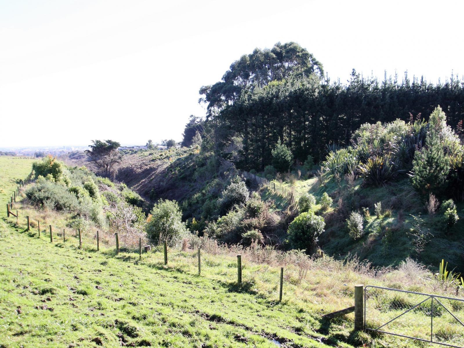 246 Polson Hill Drive, Aokautere