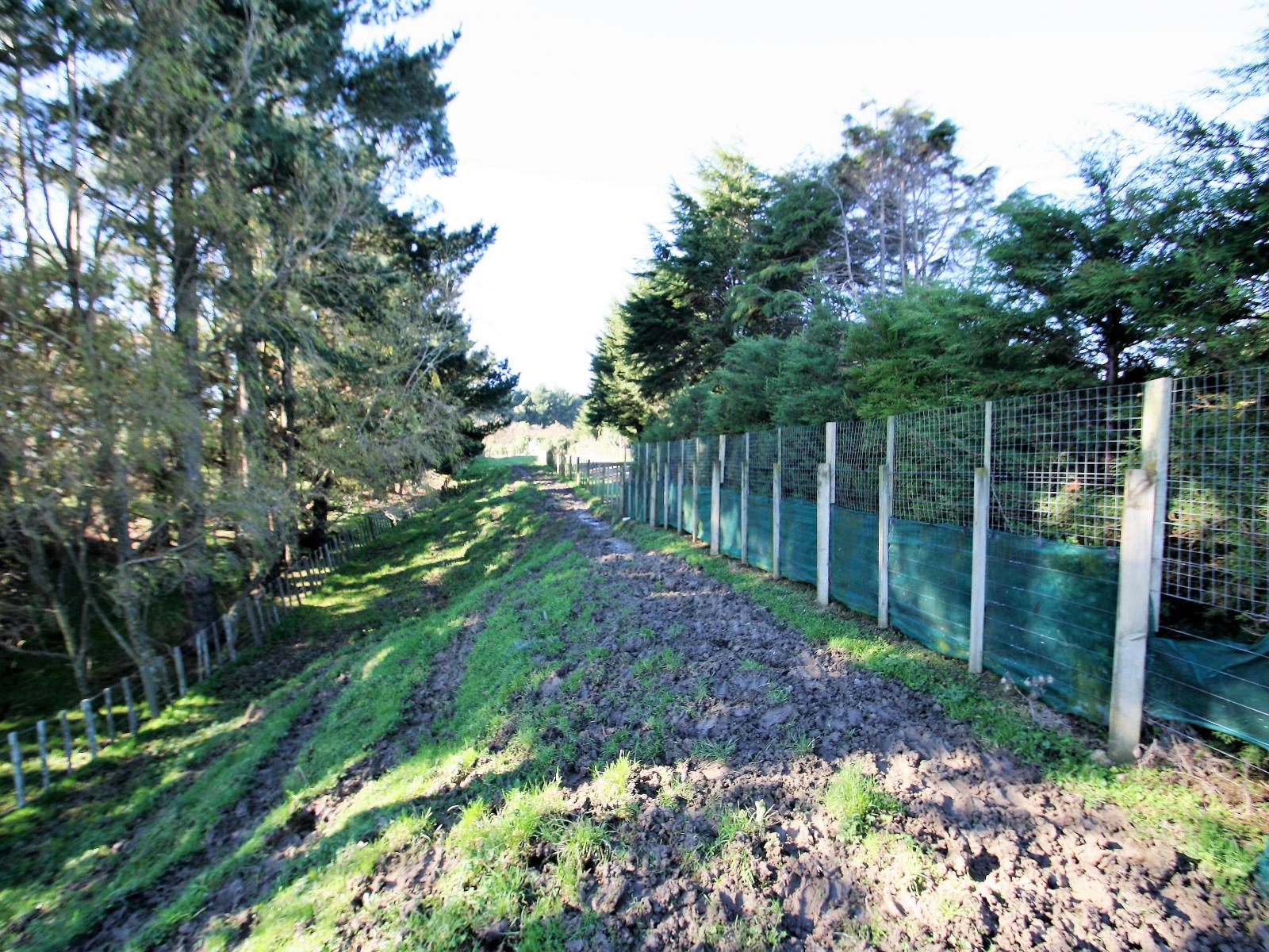 246 Polson Hill Drive, Aokautere