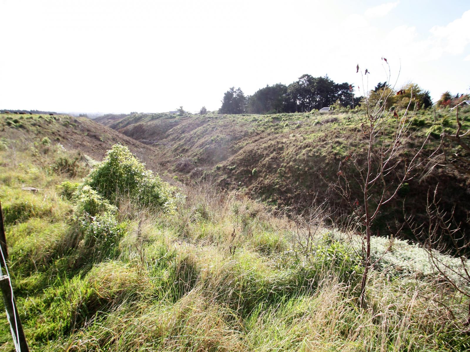 246 Polson Hill Drive, Aokautere