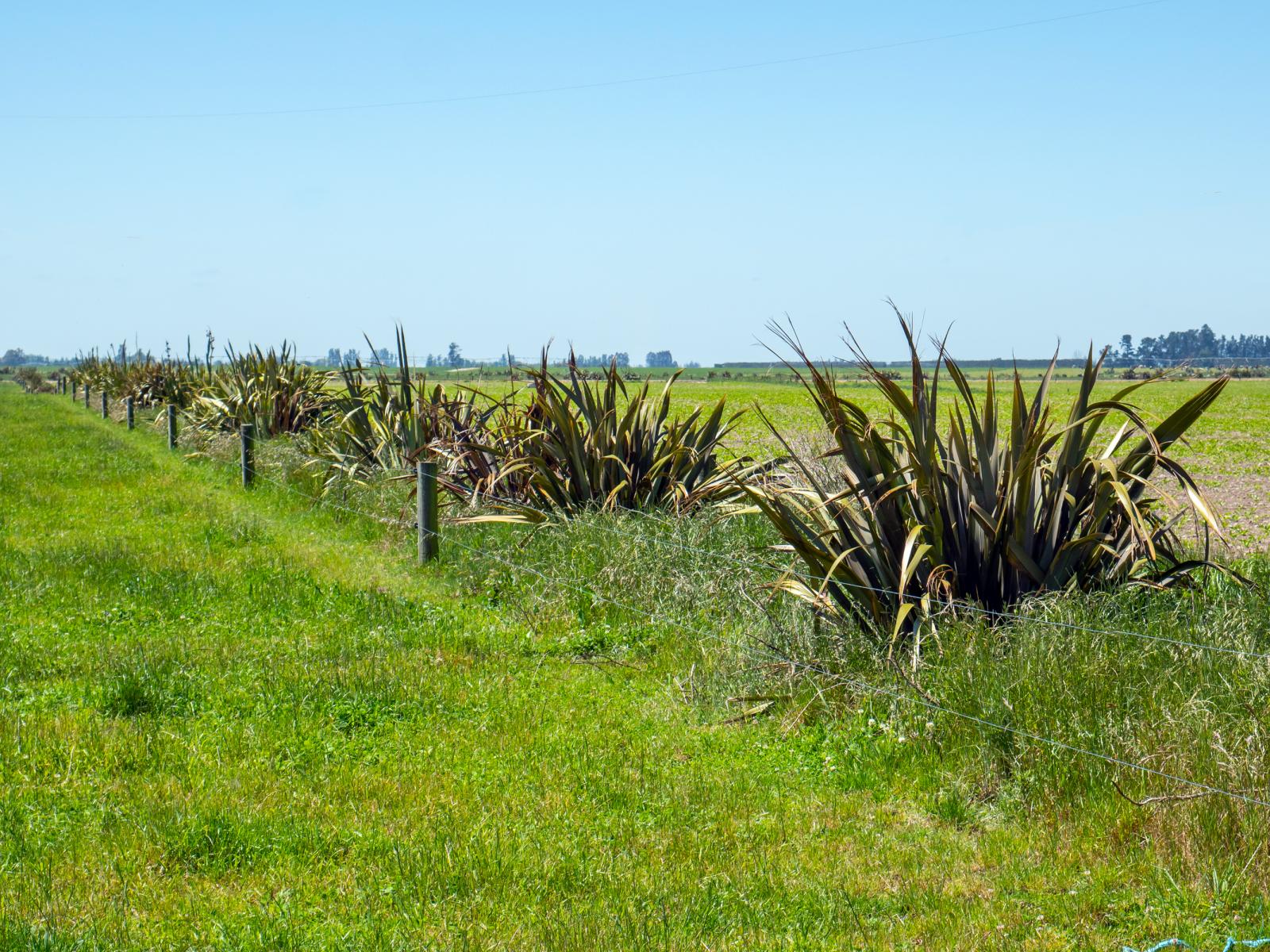 102 Anama Station Road, Mayfield