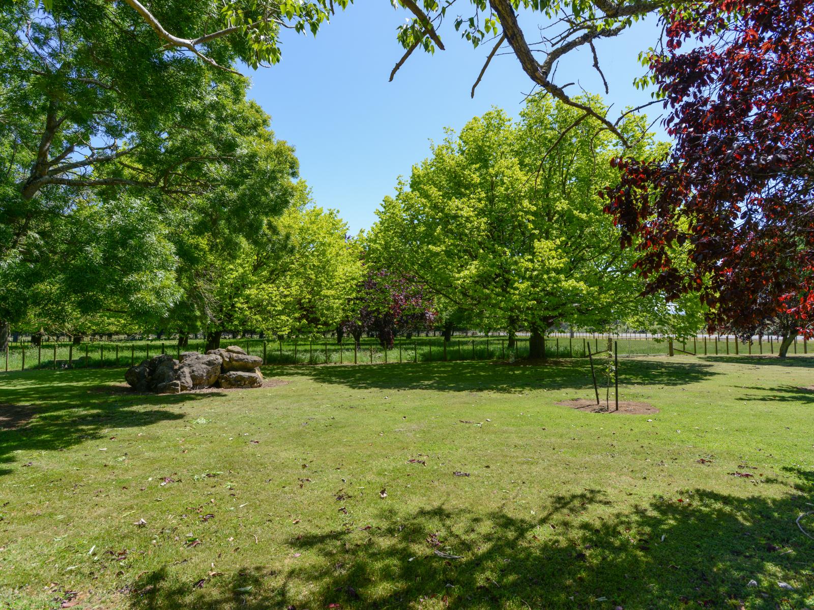 3435 State Highway 2, Takapau