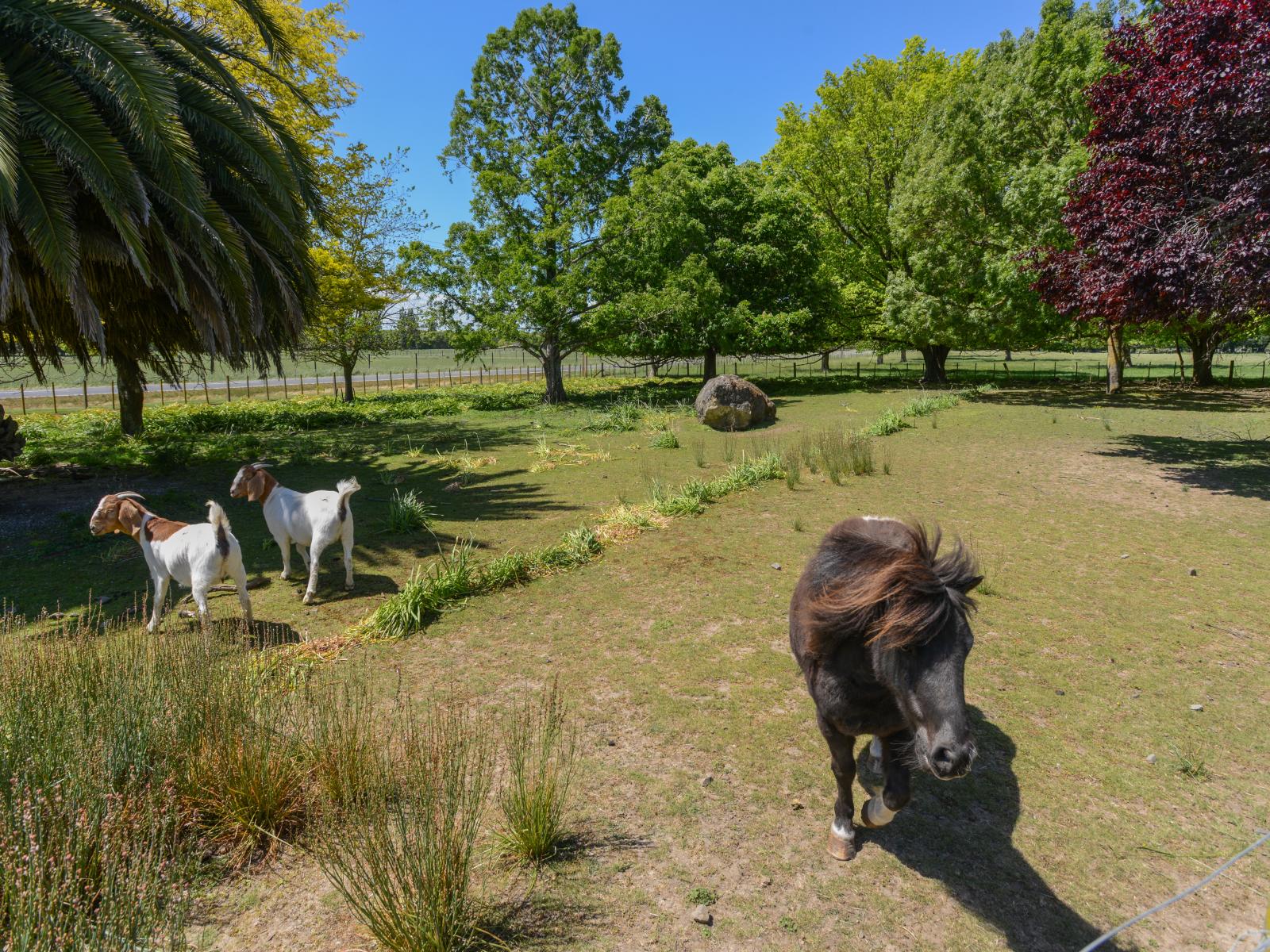 3435 State Highway 2, Takapau