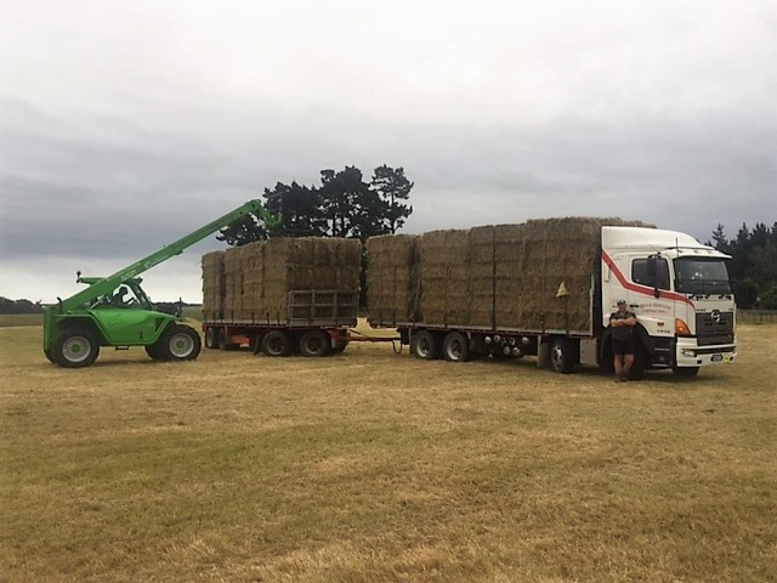 265 Waimutu Road, Marton