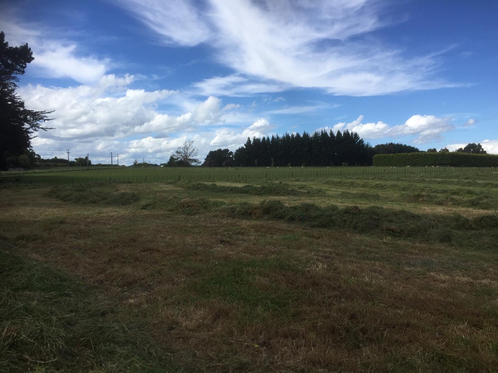 Lot 7 Fairfield Road, Rongotea