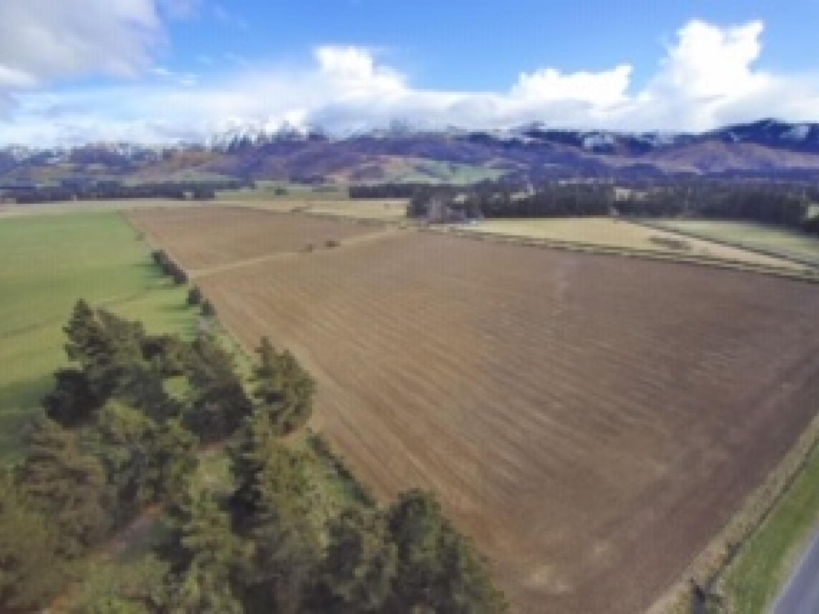 Kowai Road, Springfield