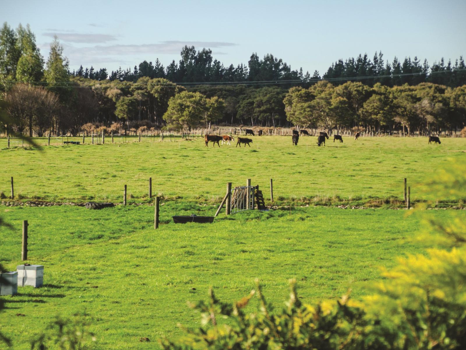 112 Parkers Road, West Taratahi