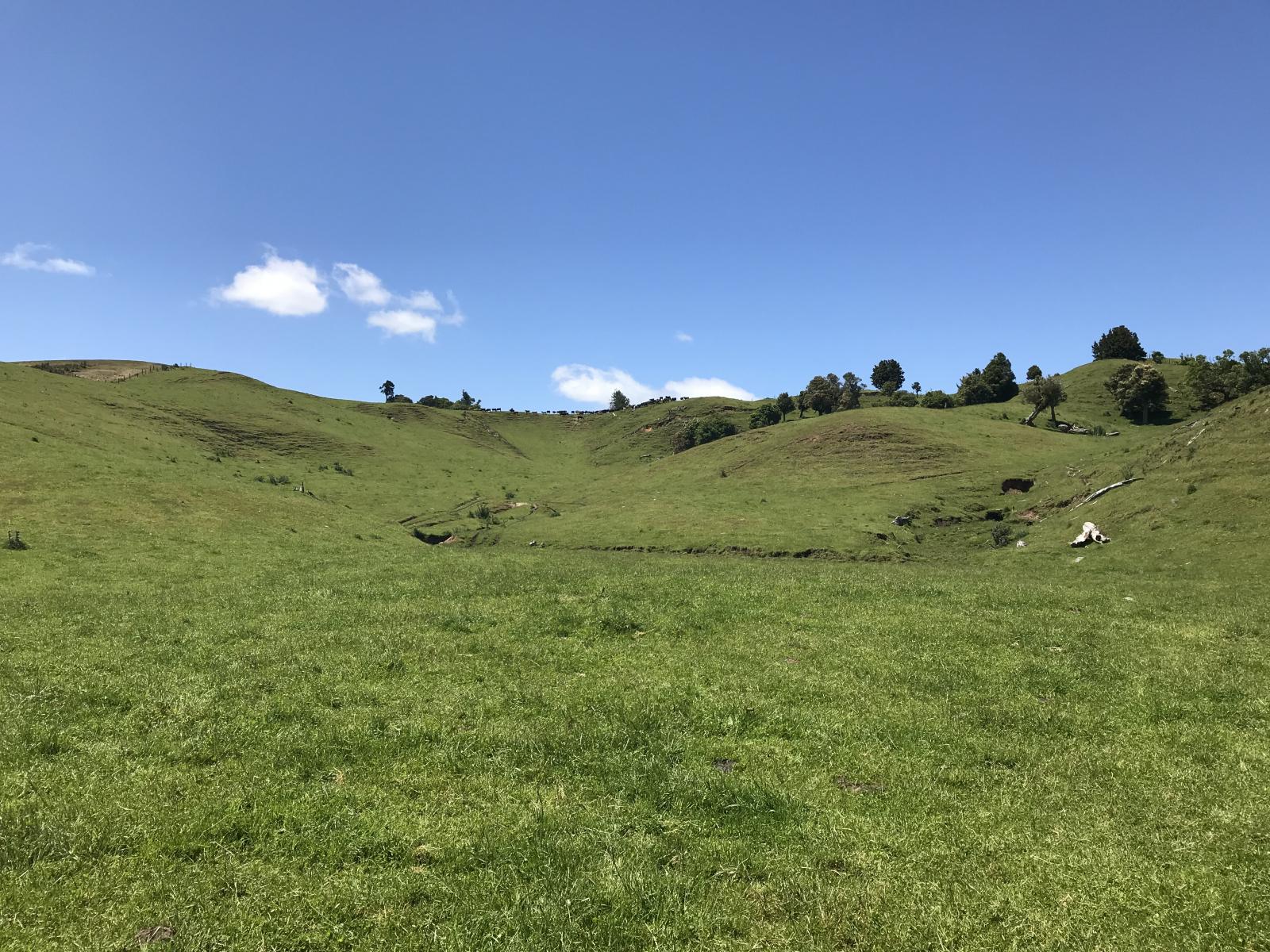 1549B Poihipi Road, Taupo