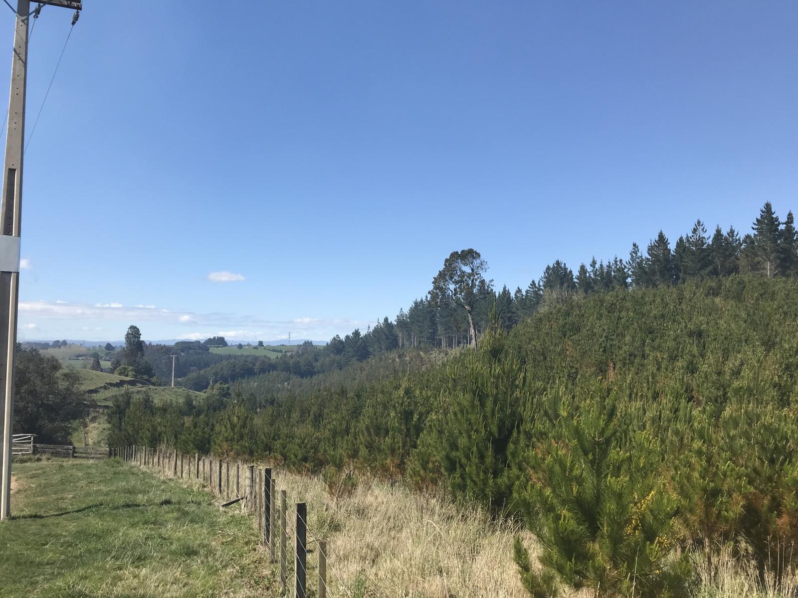 67 Tangye Road, Oruanui