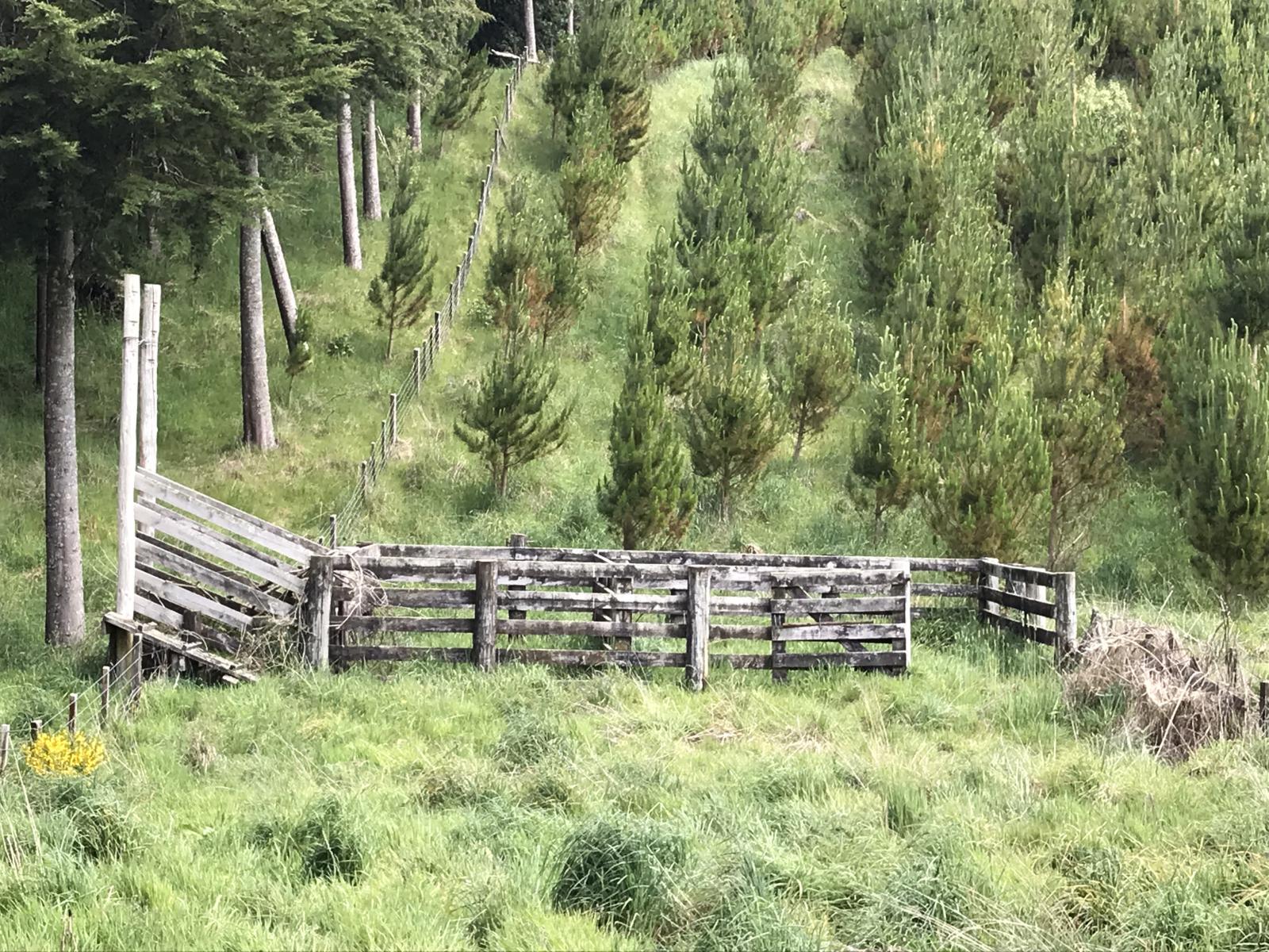 67 Tangye Road, Oruanui