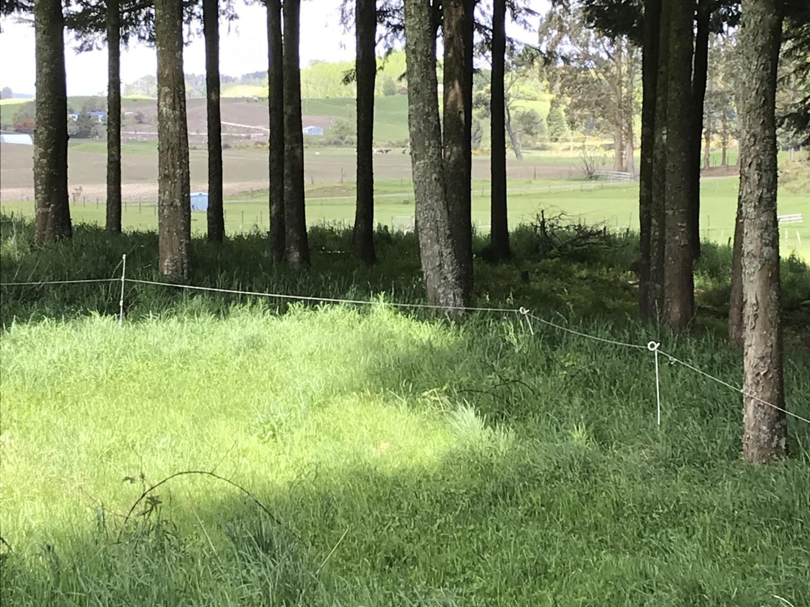 67 Tangye Road, Oruanui