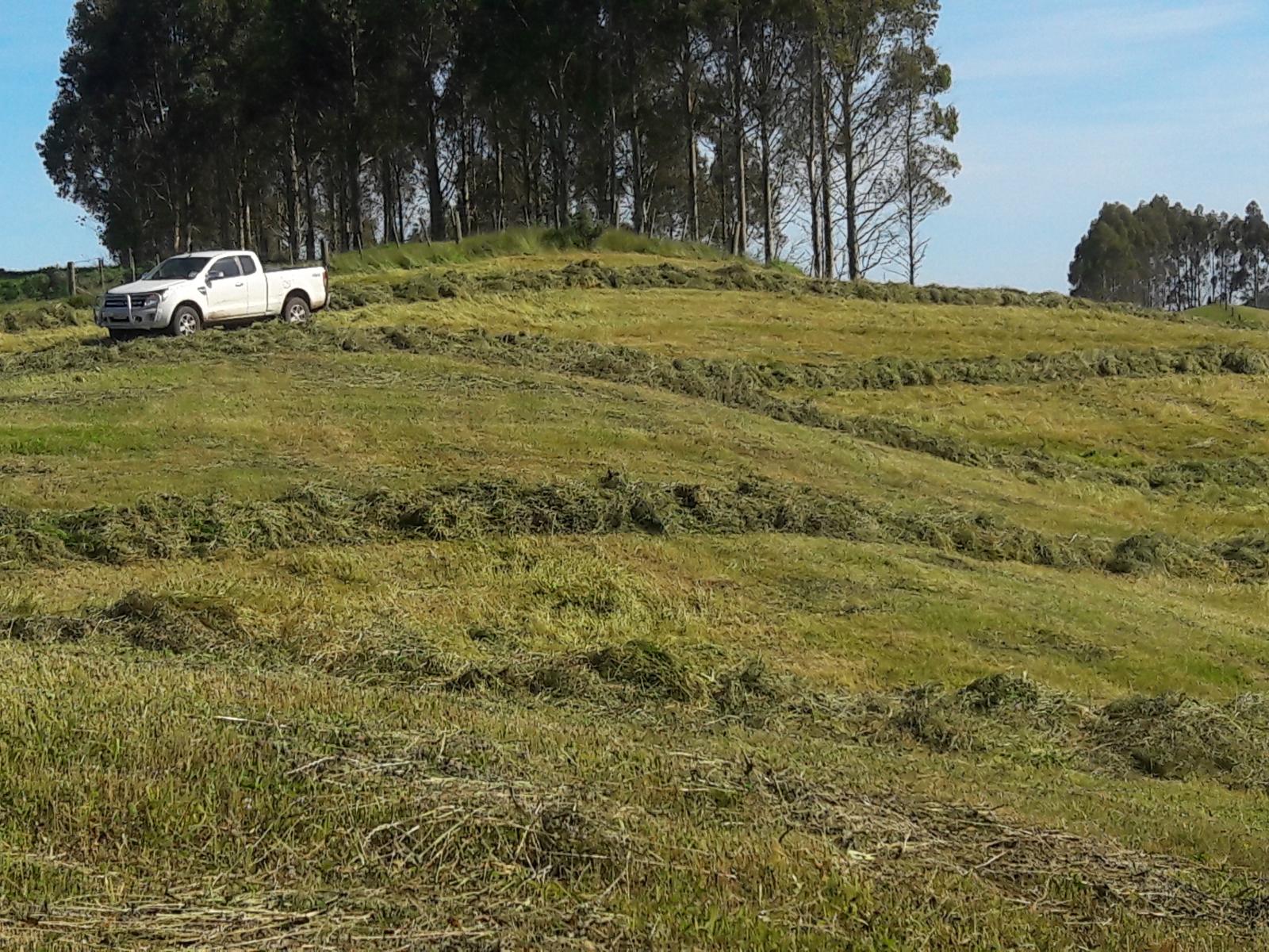 1549 Poihipi Road, Oruanui