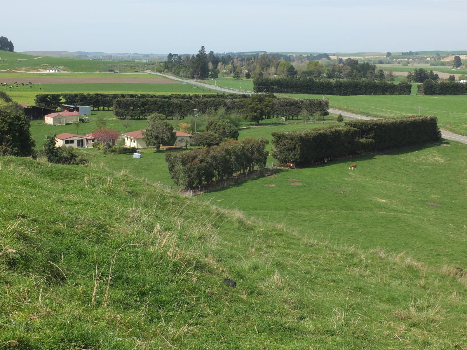 1720 Kakanui Valley Road, Five Forks