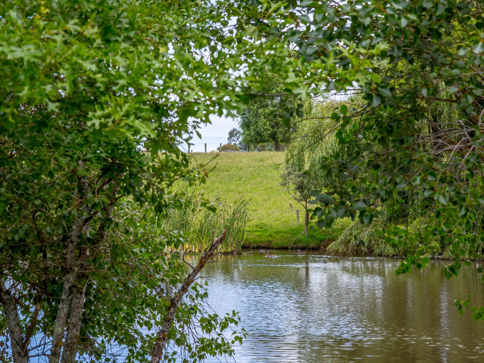 311 Gordon Street, Masterton