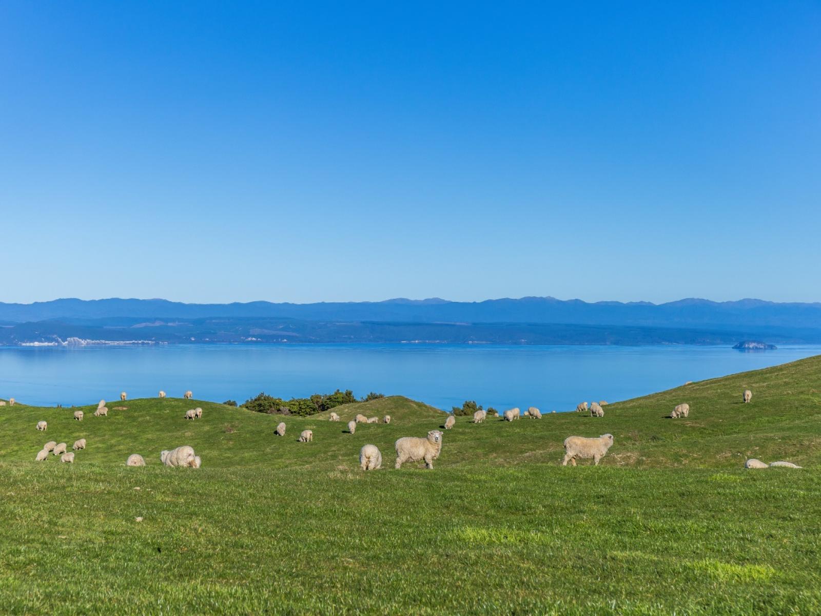 351 Whakaroa Road, Kinloch