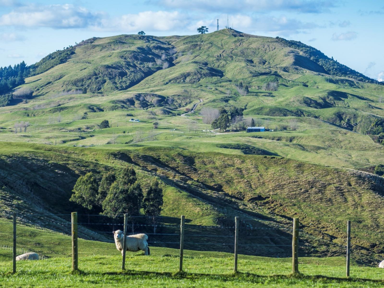 351 Whakaroa Road, Kinloch