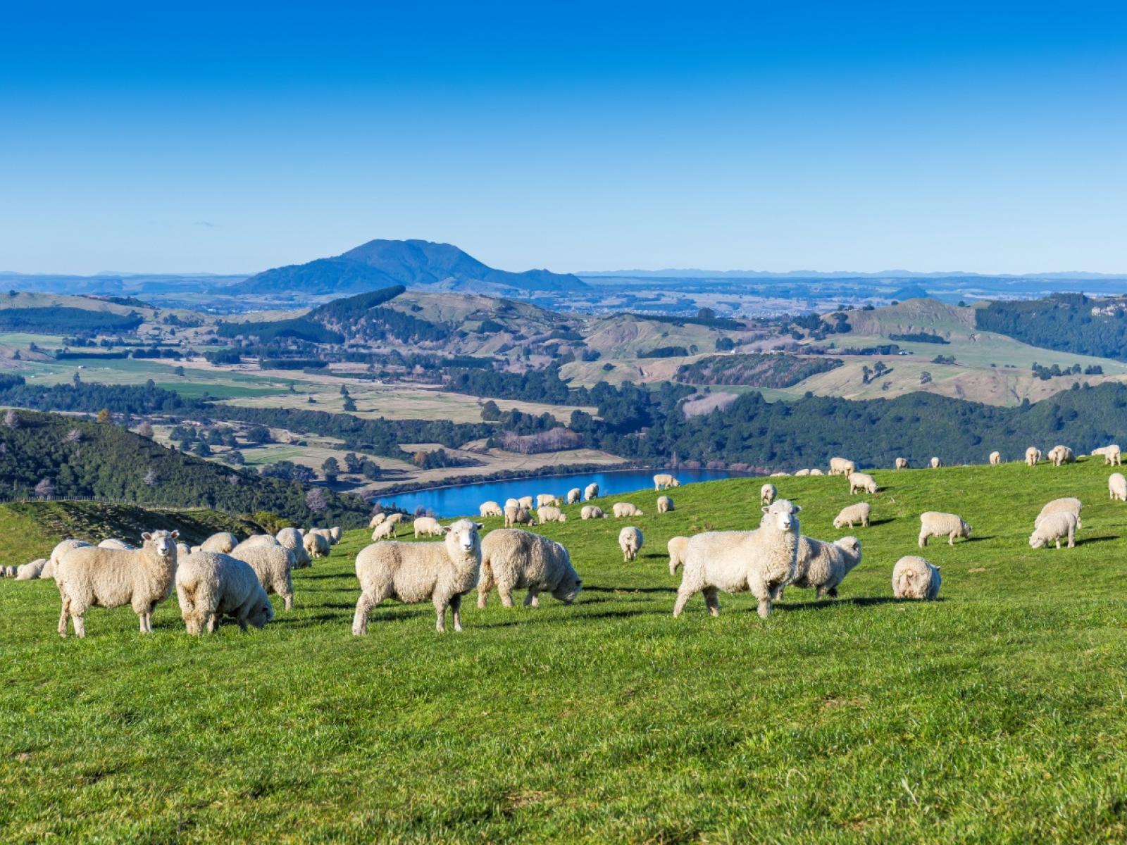 351 Whakaroa Road, Kinloch