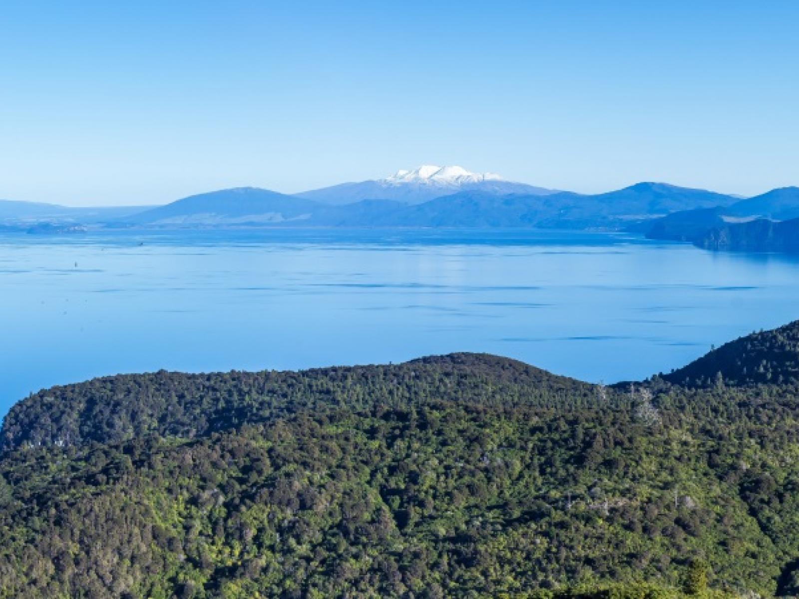 351 Whakaroa Road, Kinloch