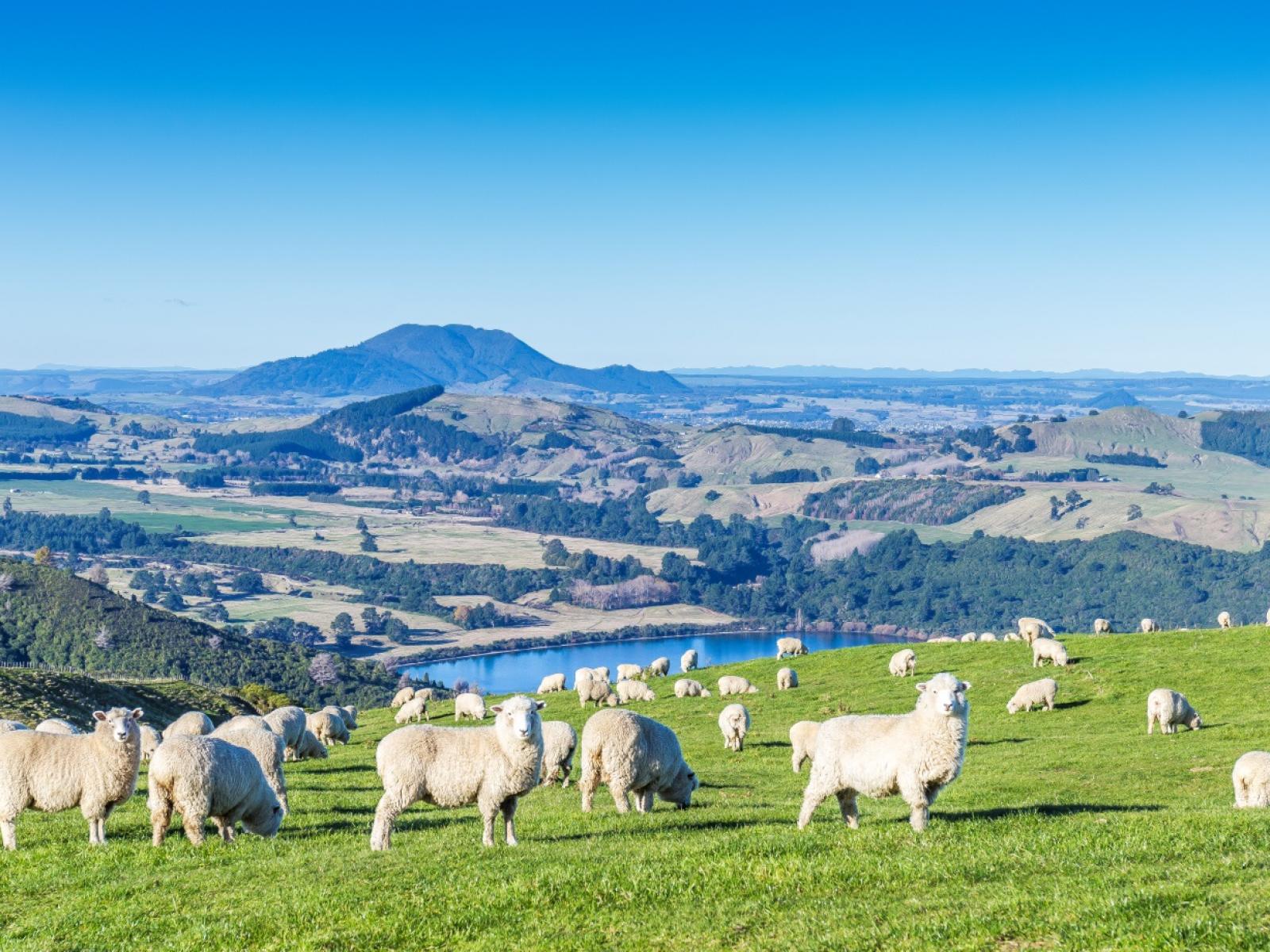 351 Whakaroa Road, Kinloch